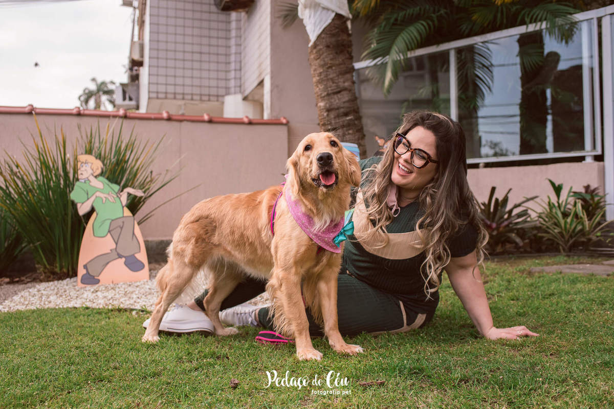 festa pet rj golden retriever