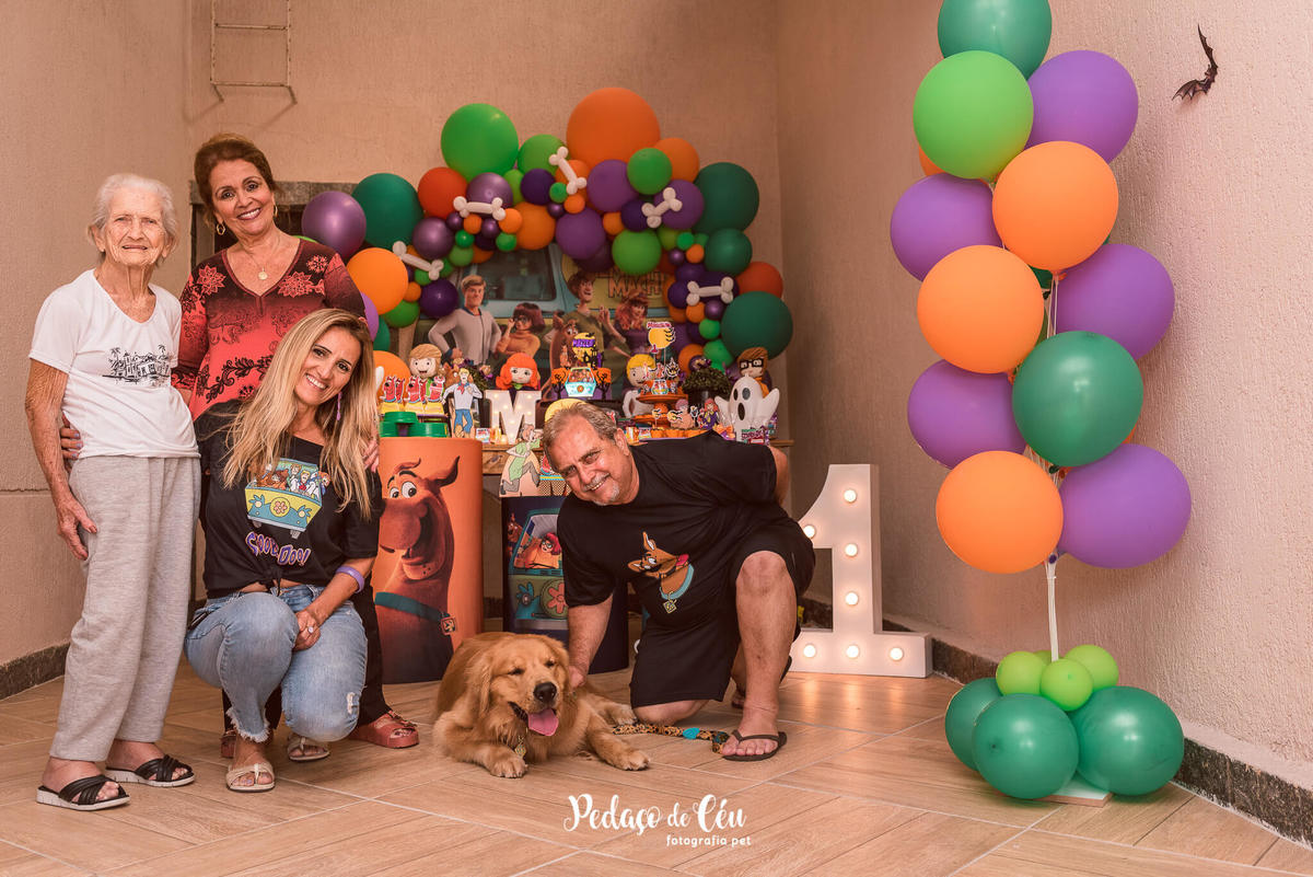 festa pet scooby-doo golden retriever