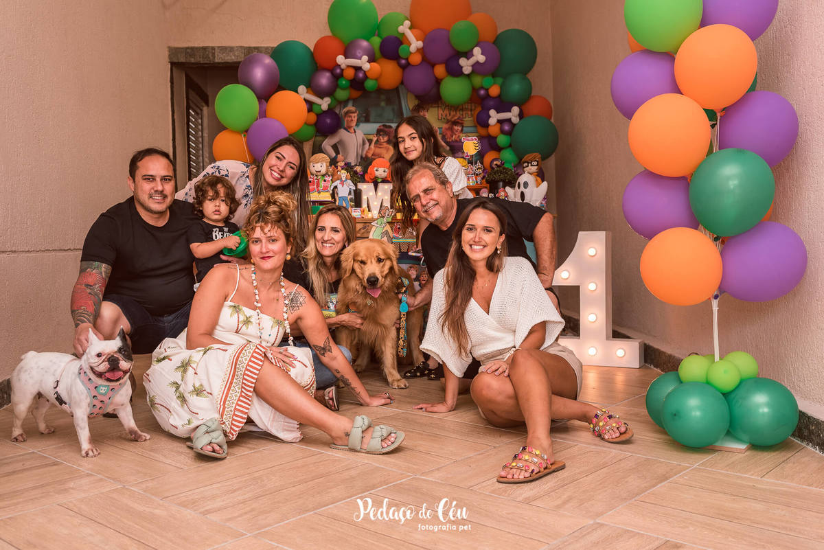 festa pet scooby-doo golden retriever