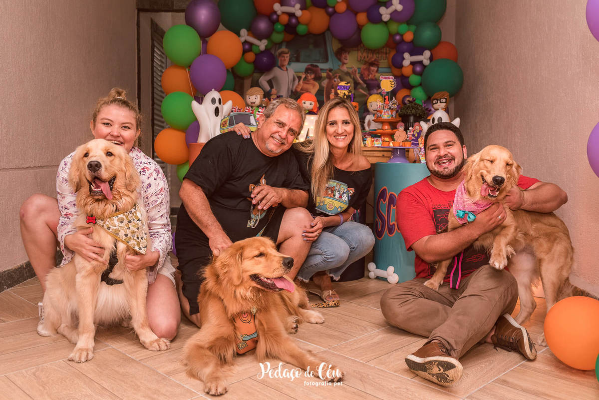 festa pet scooby-doo golden retriever