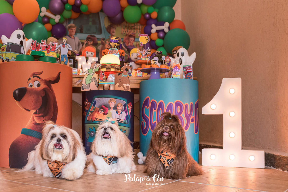 festa pet scooby-doo shihtzu