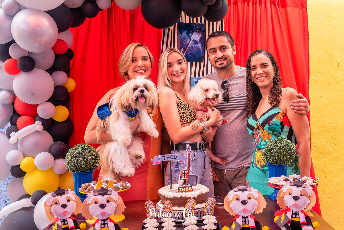 Festa pra cachorro RJ shihtzu