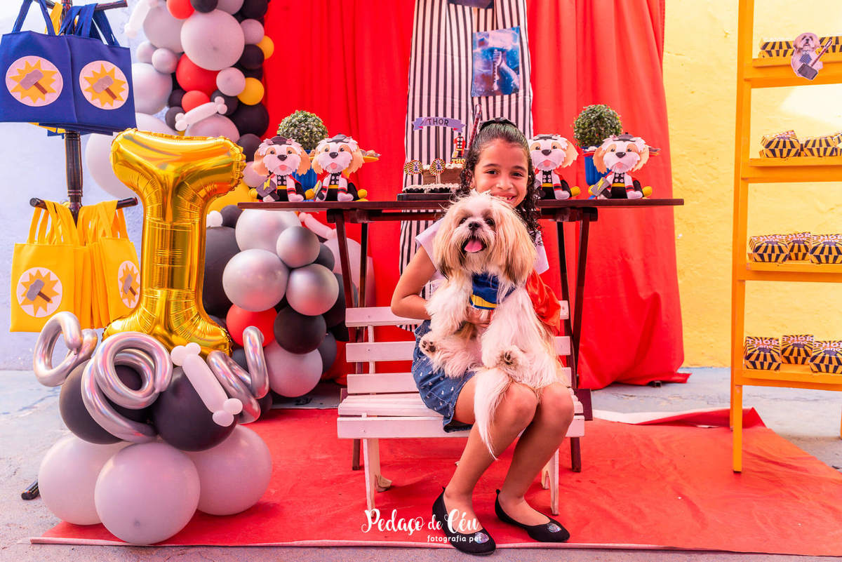 Festa pra cachorro RJ shihtzu