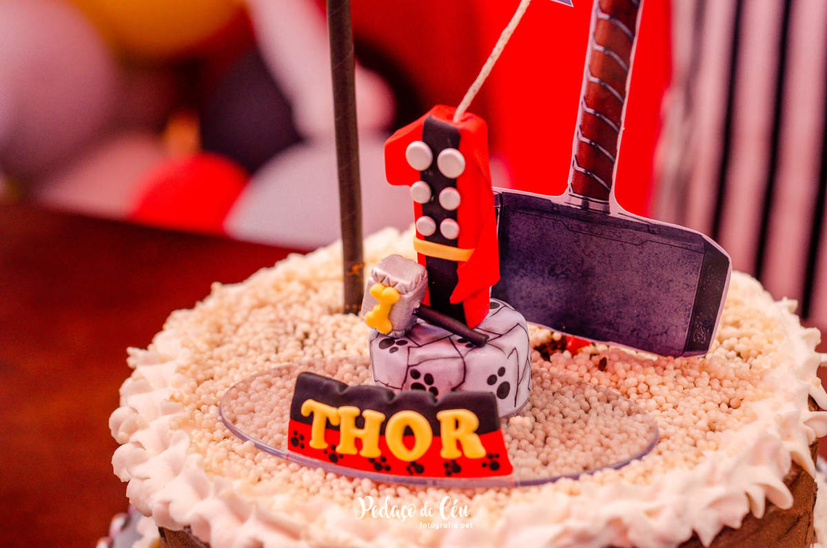 Festa pra cachorro RJ shihtzu