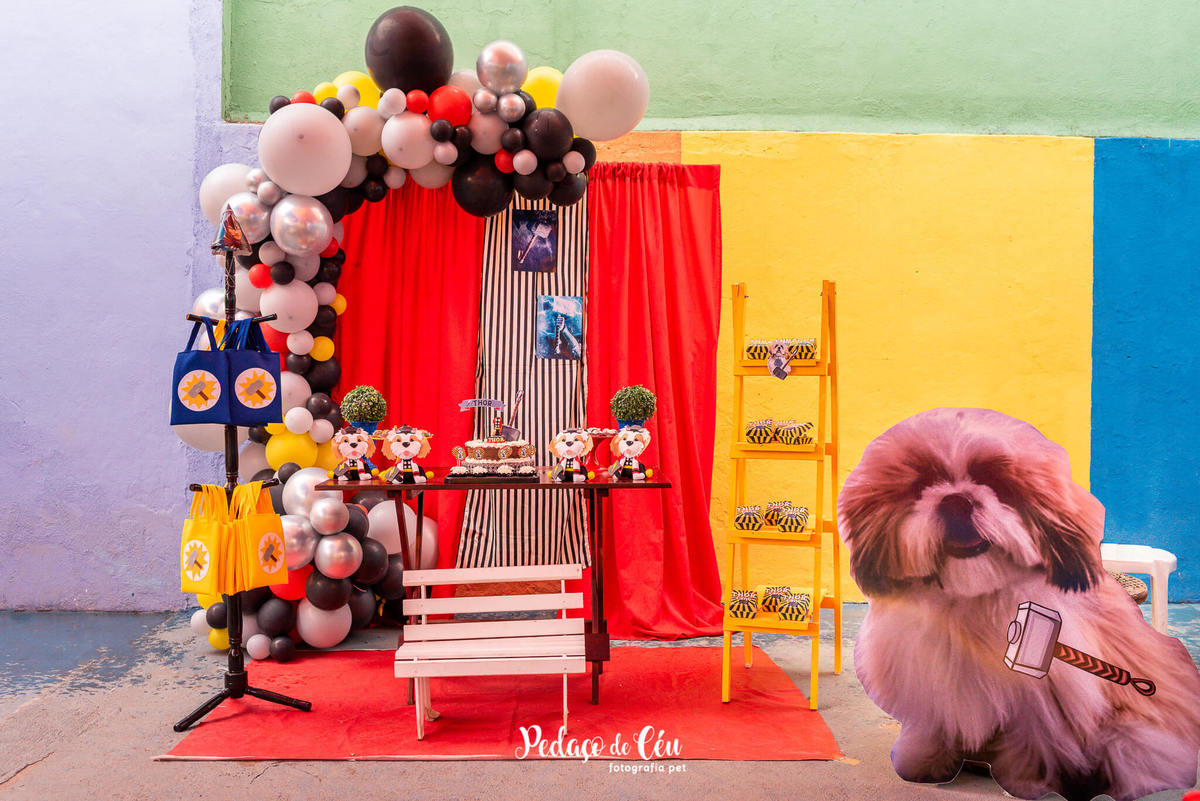 Festa pra cachorro RJ shihtzu
