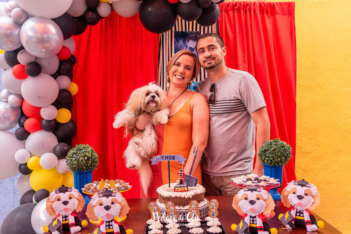 Festa pra cachorro RJ shihtzu