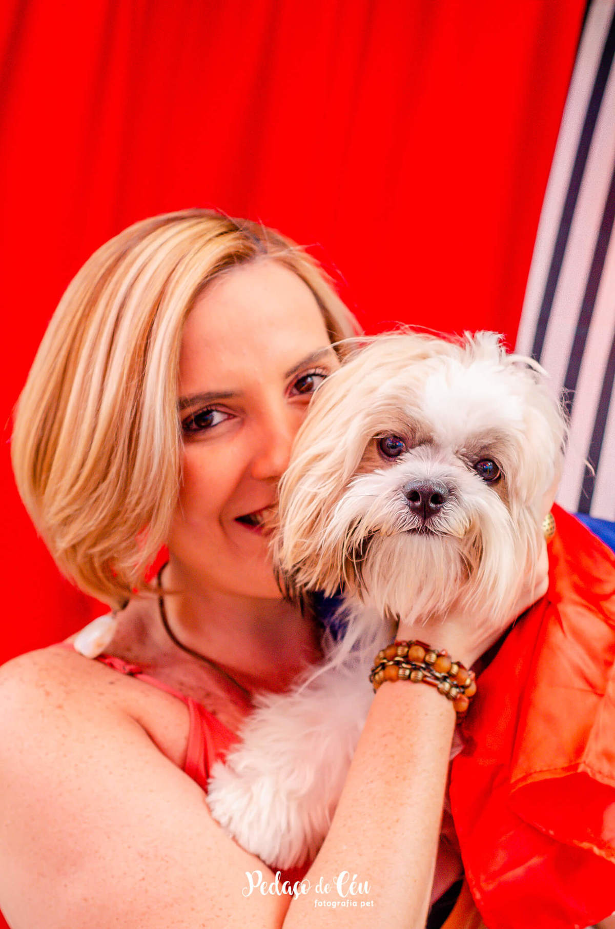 Festa pra cachorro RJ shihtzu