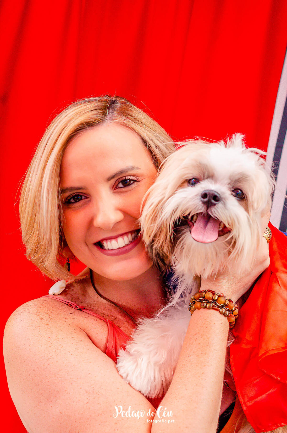 Festa pra cachorro RJ shihtzu