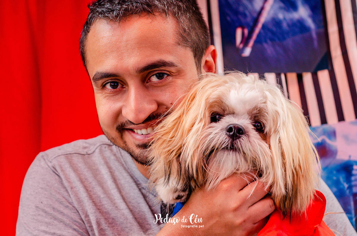 Festa pra cachorro RJ shihtzu