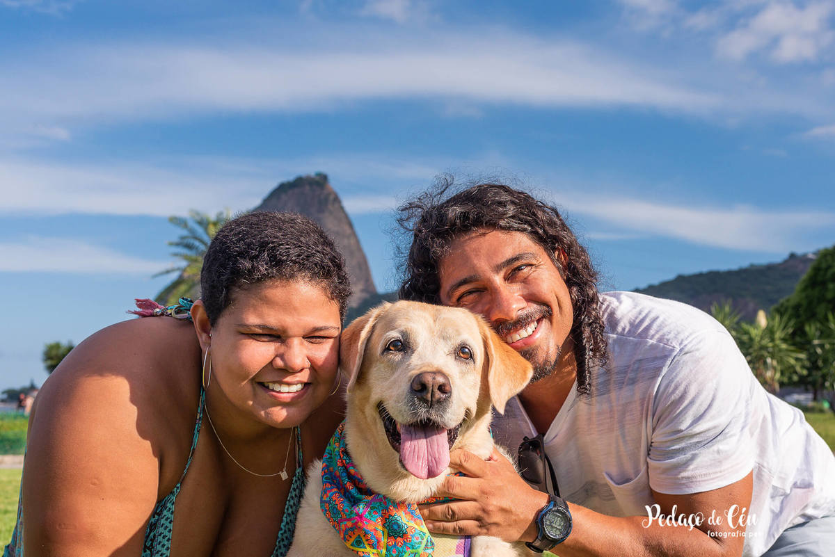 Ensaio pet labrador Aterro do Flamengo - Foto pet