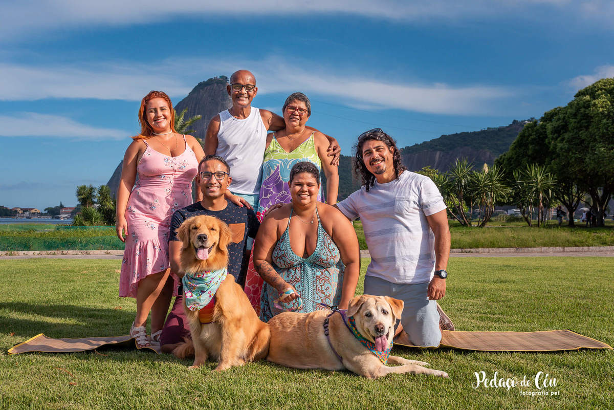 Ensaio pet labrador Aterro do Flamengo - Foto pet