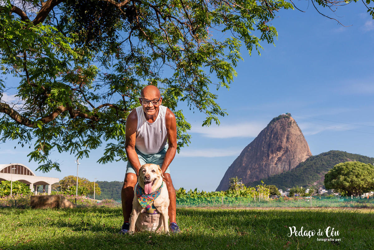 Ensaio pet labrador Aterro do Flamengo - Foto pet