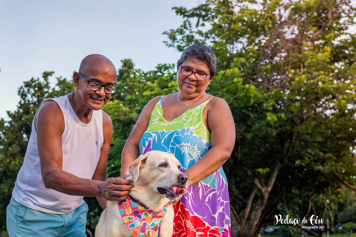 Ensaio pet labrador Aterro do Flamengo - Foto pet