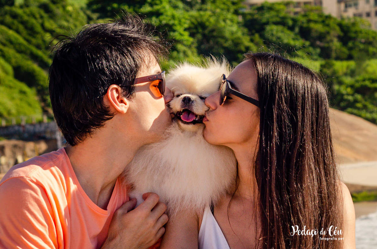 Ensaio Pet Spitz Arpoador