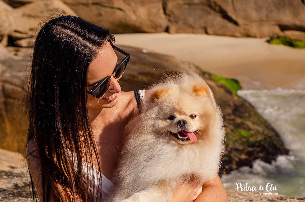 Ensaio Pet Spitz Arpoador