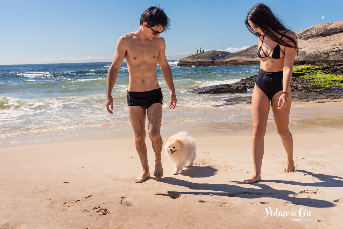 Ensaio Pet Spitz Praia Arpoador