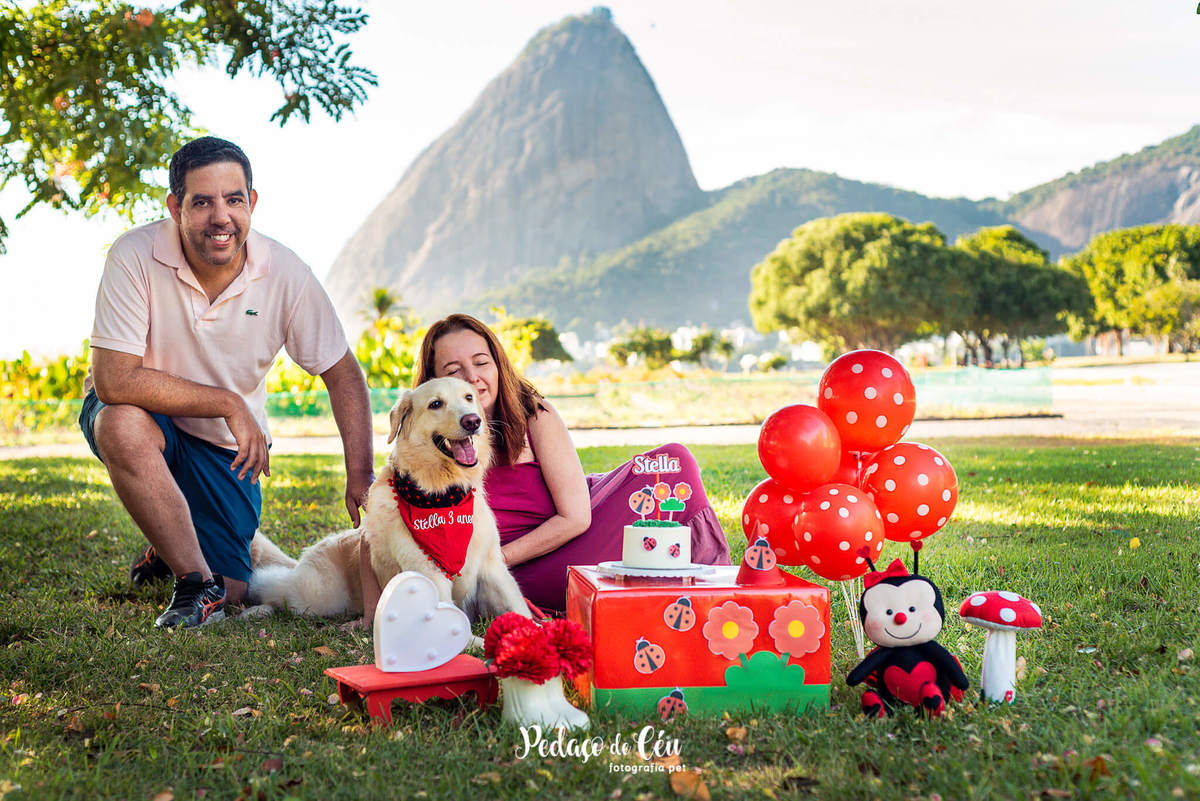 Smash the Cake para cachorro Aterro do Flamengo RJ