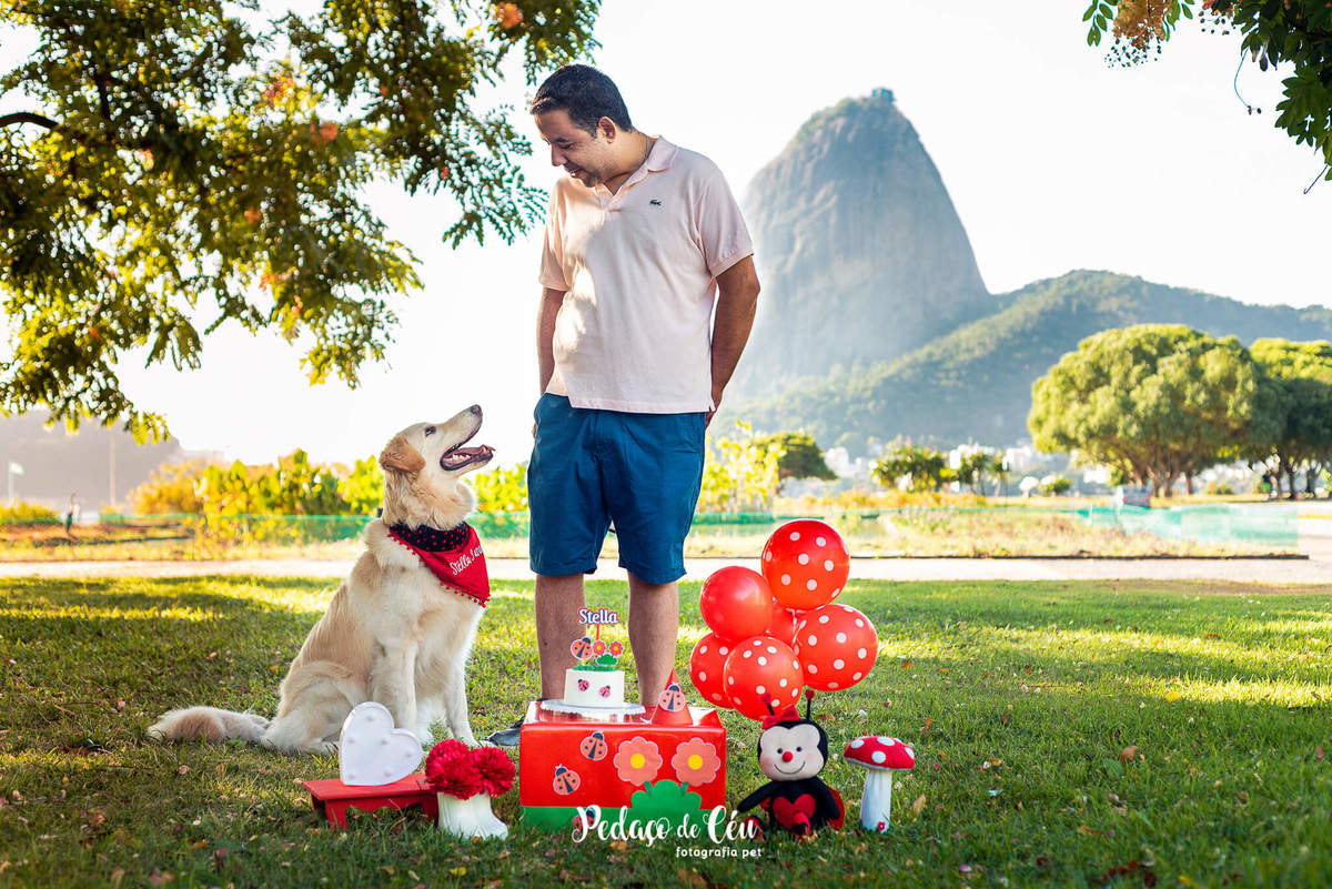 Smash the Cake para cachorro Aterro do Flamengo RJ