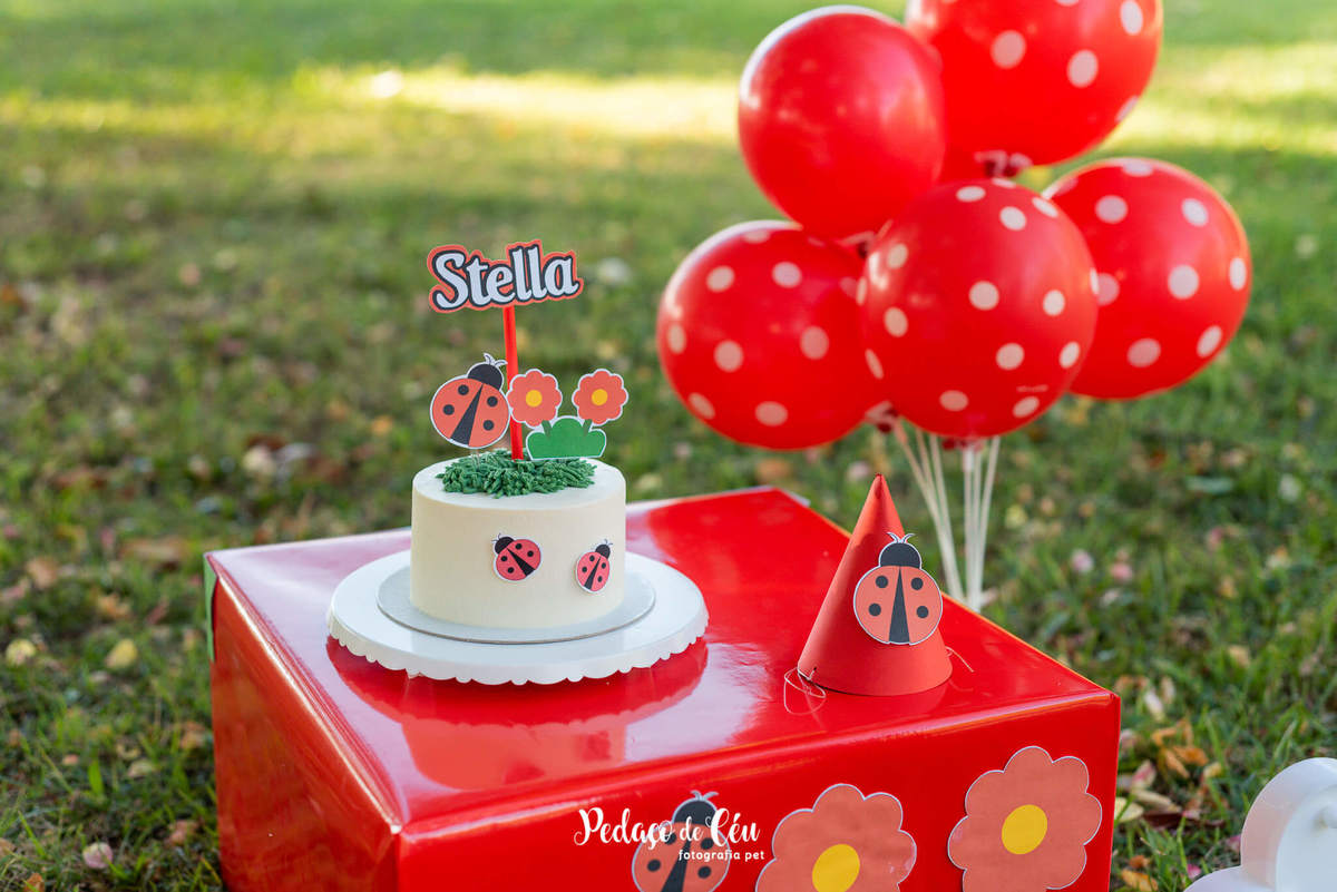 Smash the Cake para cachorro Aterro do Flamengo RJ