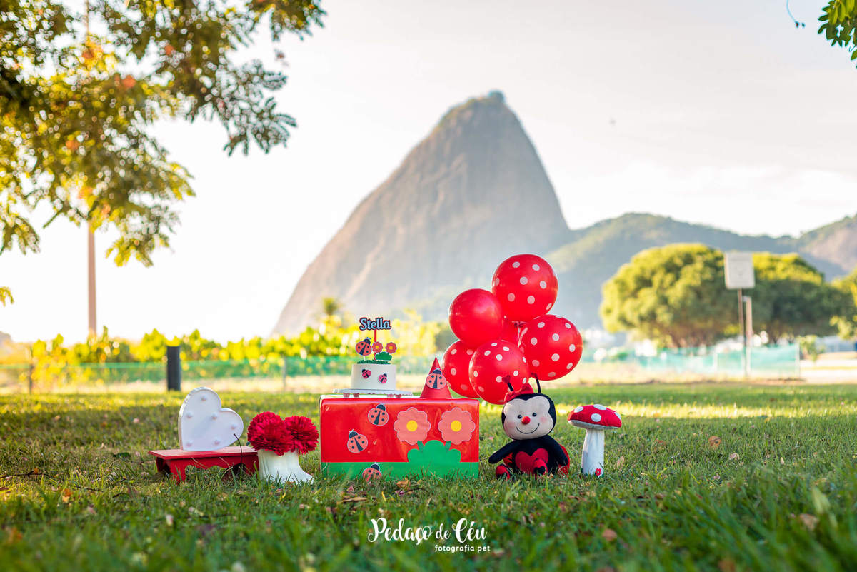 Smash the Cake para cachorro Aterro do Flamengo RJ