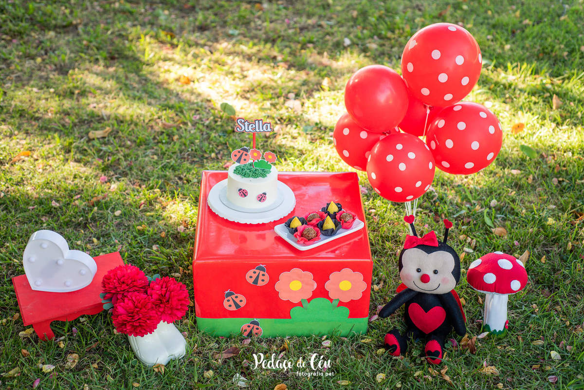 Smash the Cake para cachorro Aterro do Flamengo RJ