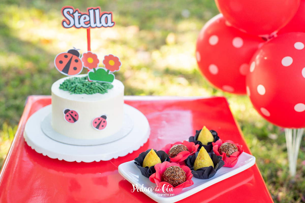 Smash the Cake para cachorro Aterro do Flamengo RJ