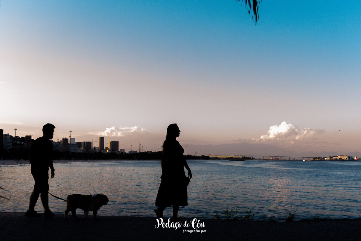 Ensaio pet bulldog Aterro do Flamengo Rio de Janeiro