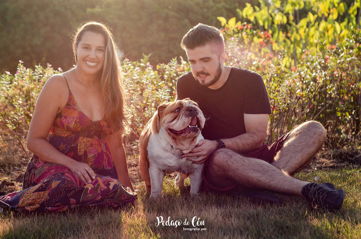 Ensaio pet bulldog Aterro do Flamengo Rio de Janeiro