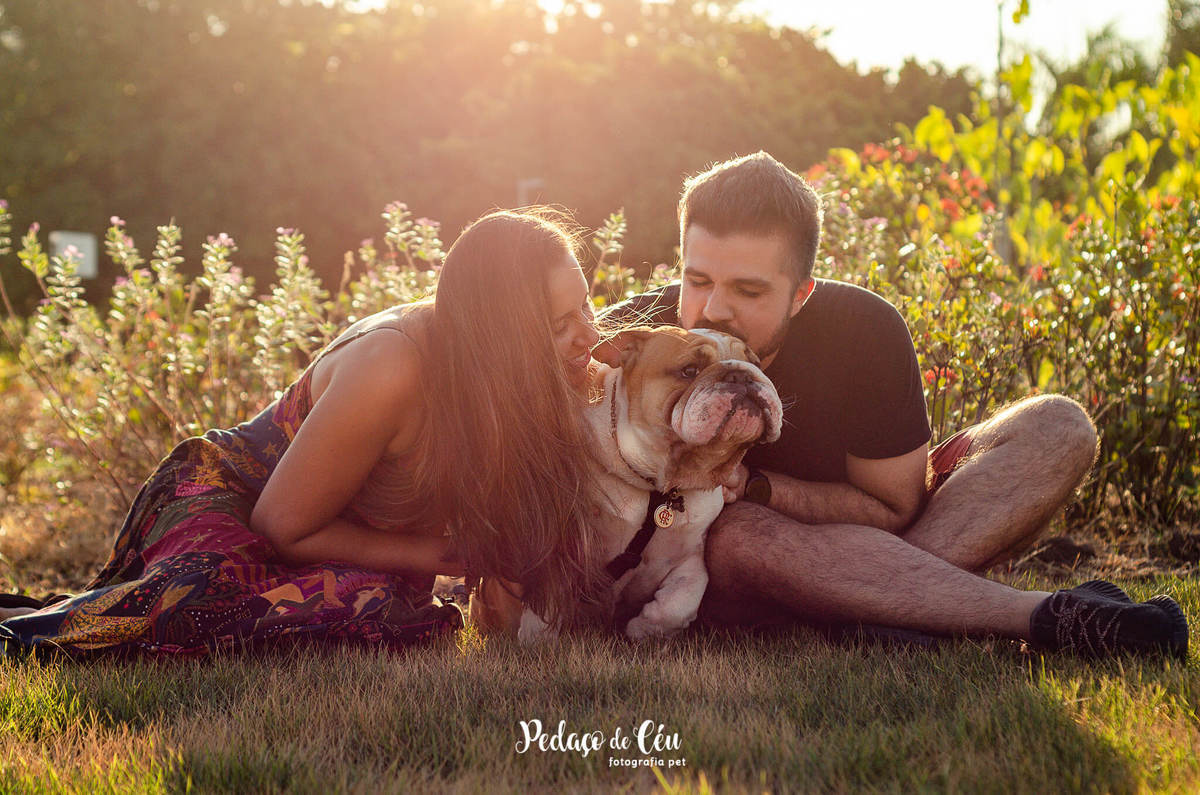 Ensaio pet bulldog Aterro do Flamengo Rio de Janeiro