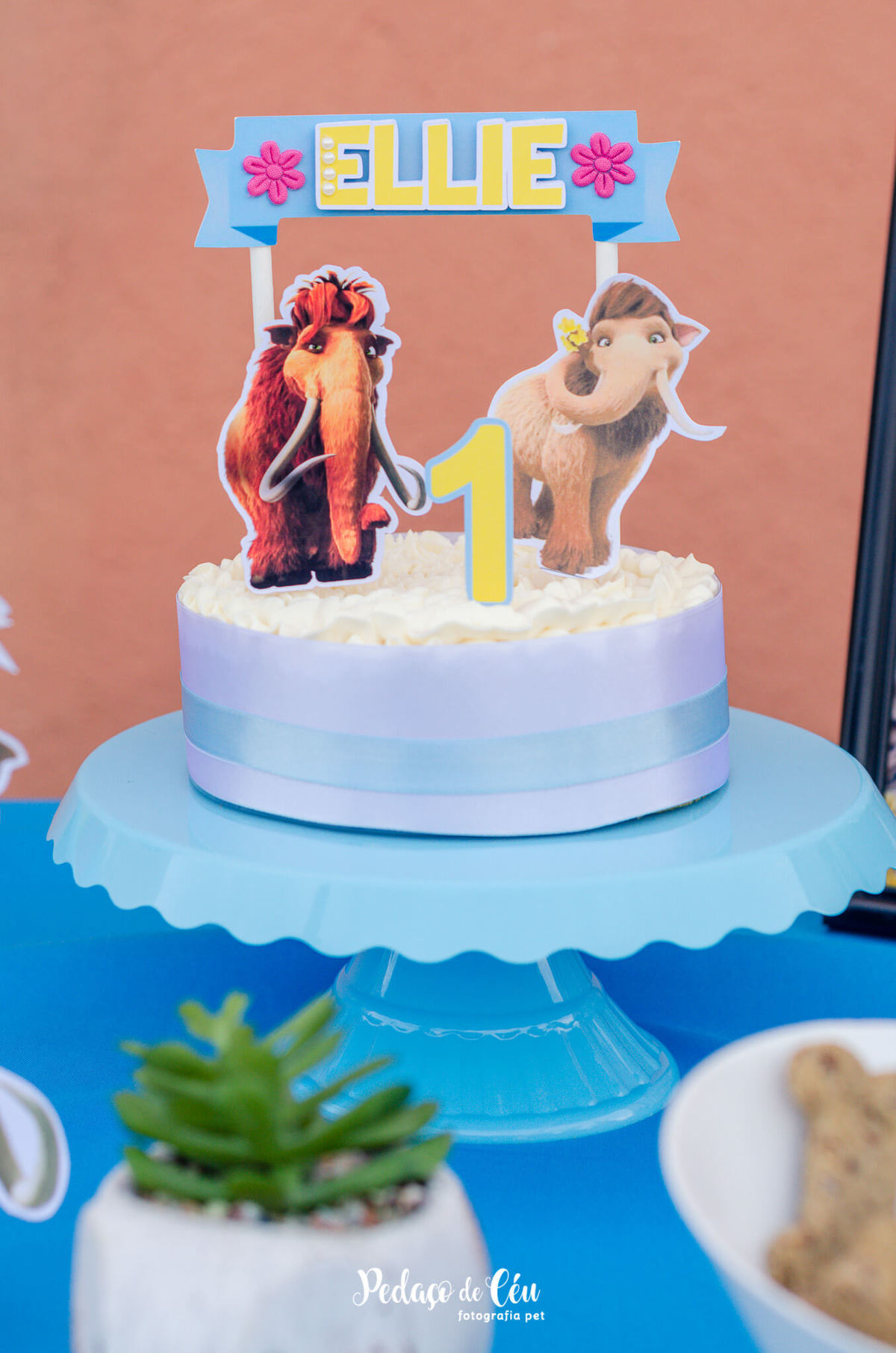 Festa pet srd rio de janeiro