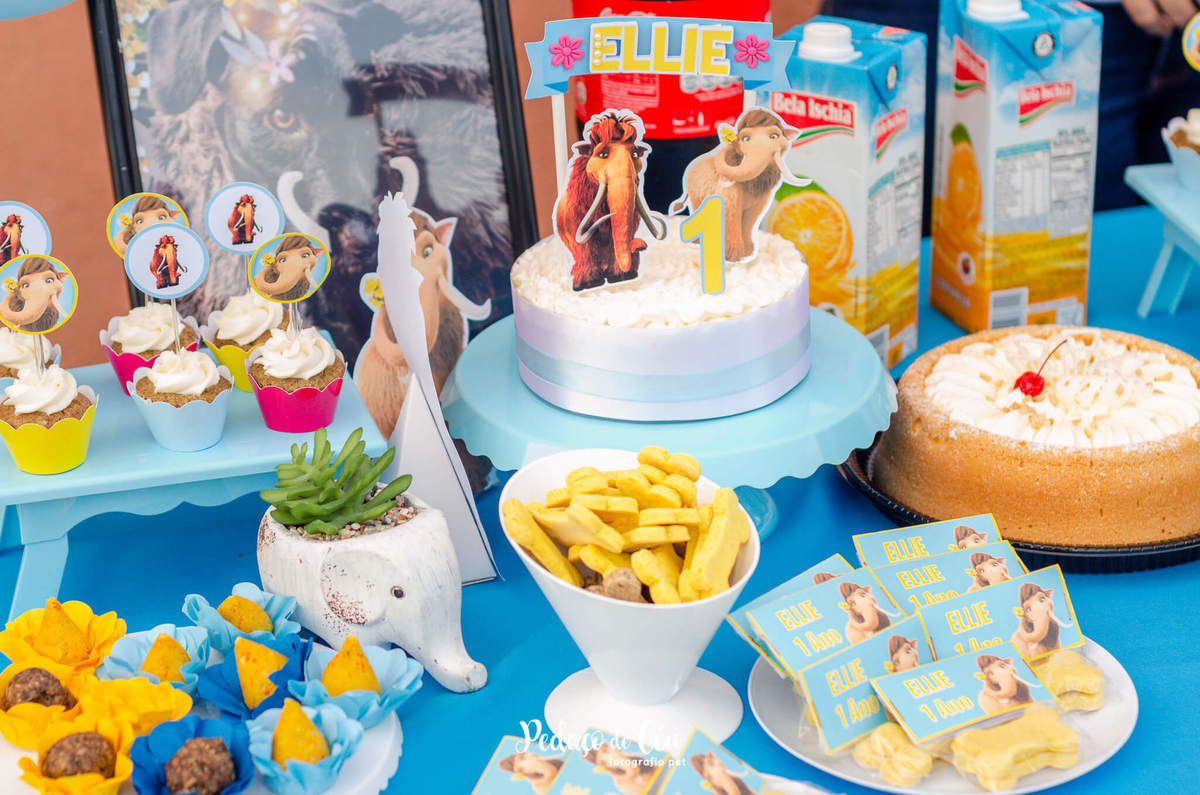 Festa pet srd rio de janeiro