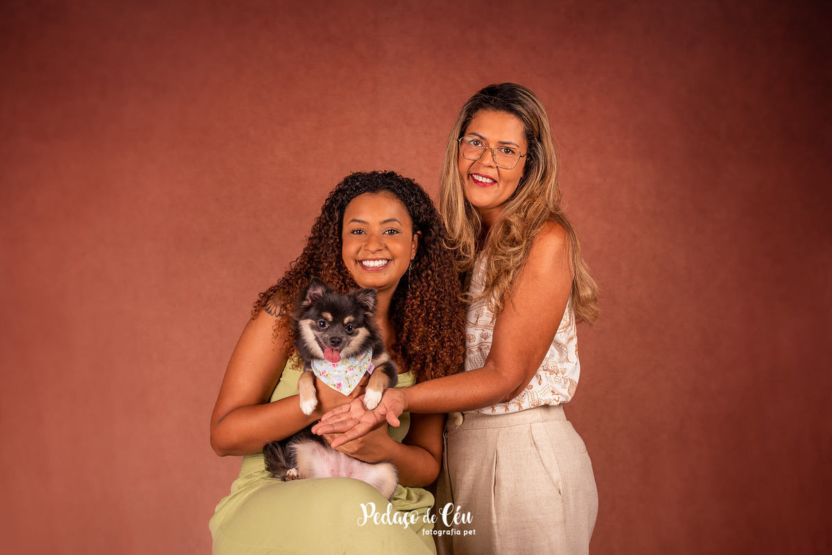 foto grafia pet chihuahua em família estúdio rio de janeiro
