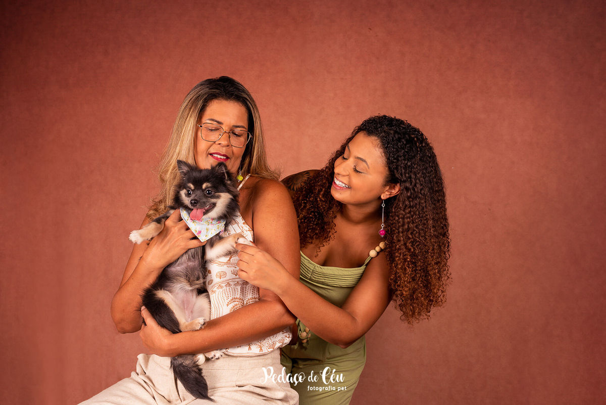 foto grafia pet chihuahua em família estúdio rio de janeiro