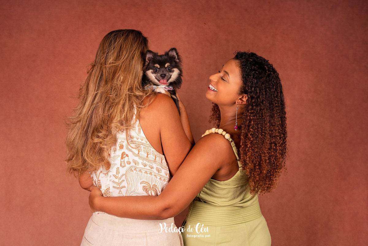 foto grafia pet chihuahua em família estúdio rio de janeiro