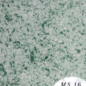 MS 16