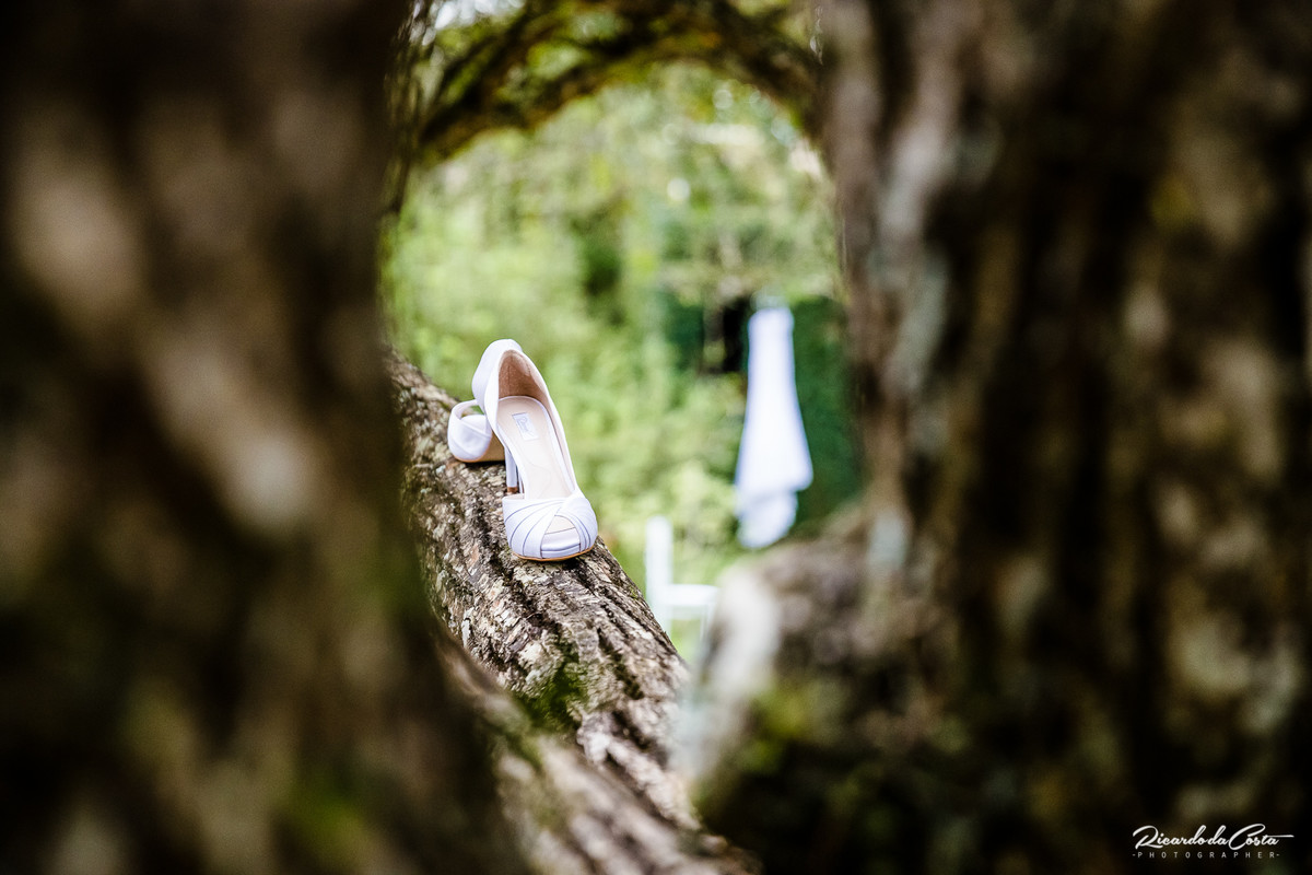 Ricardo da Costa Fotografo de Casamento Sp