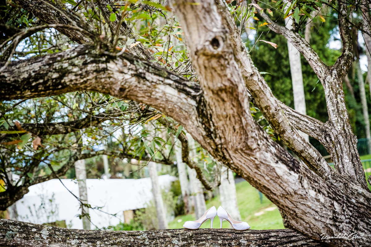 Wedding photographer in Boston Massachusetts