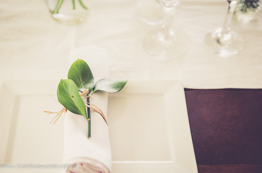 Ricardo da Costa Paraty - RJ