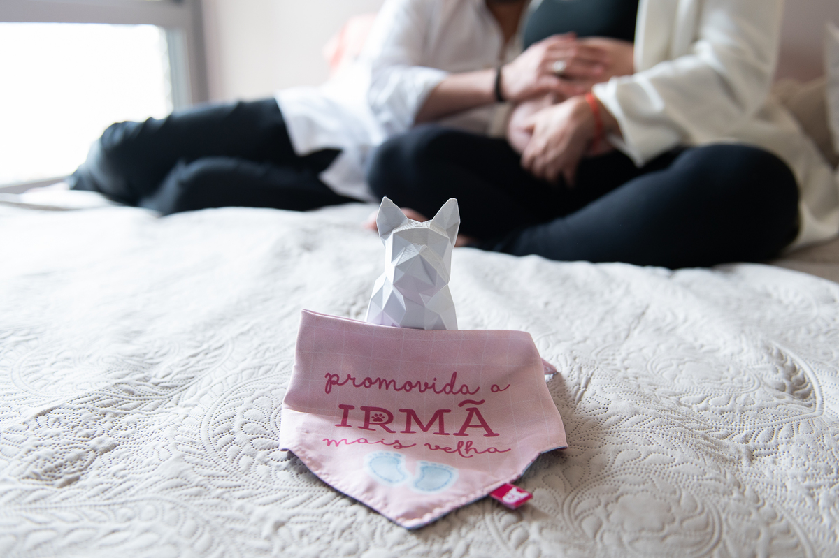 ensaio gestante simples com pet em casa sp