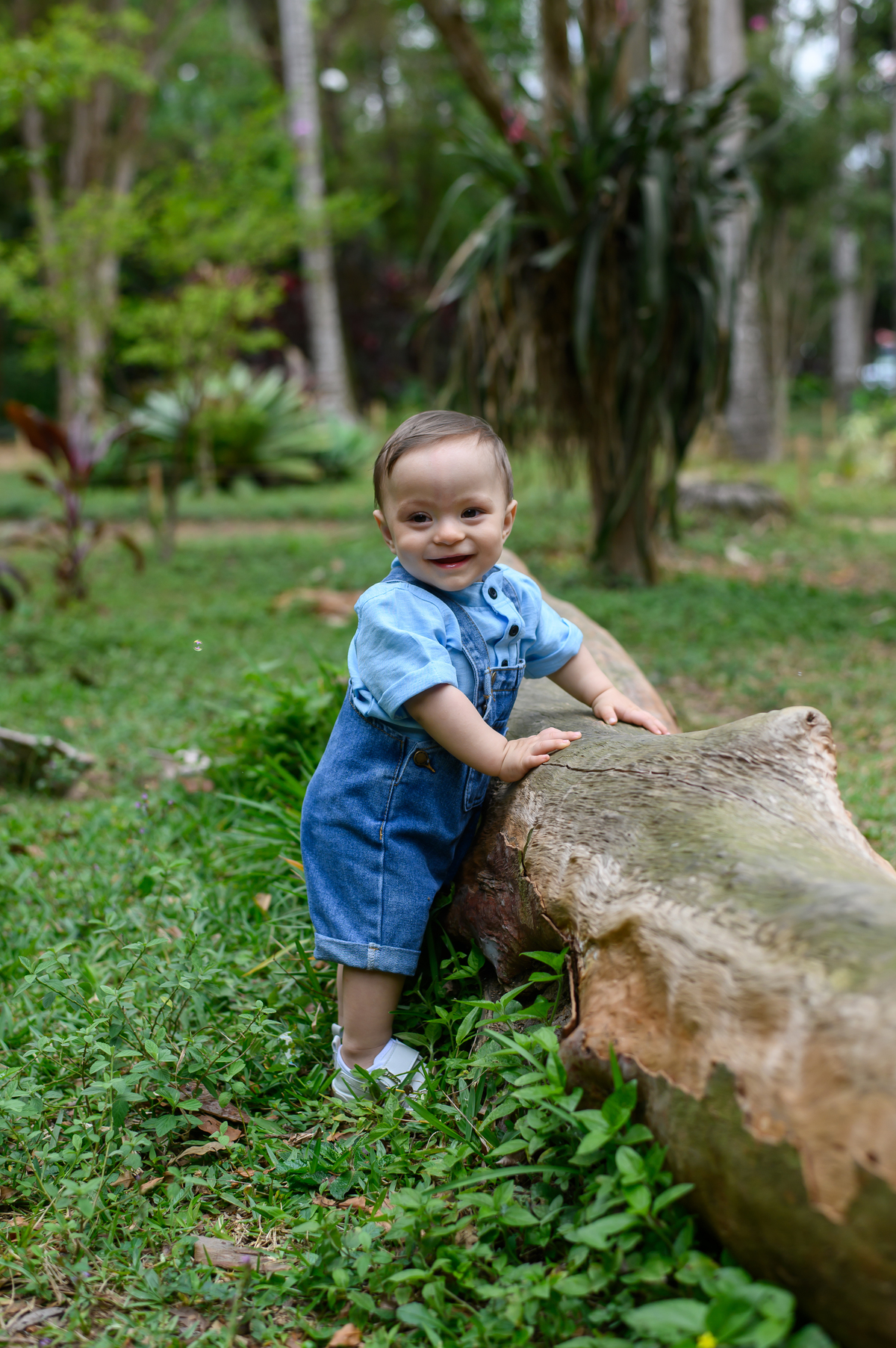 ensaio de 1 aninho ao ar livre zona sul sp