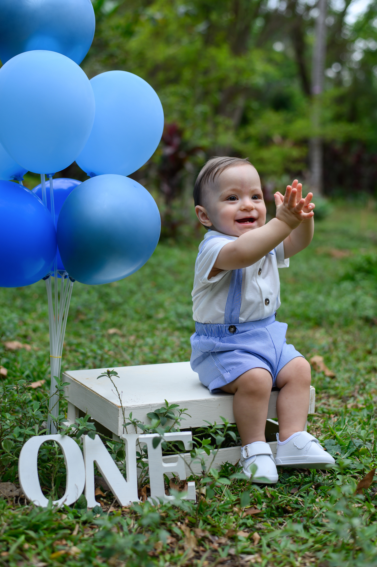 Ensaio 1 ano Parque Burle Marx SP