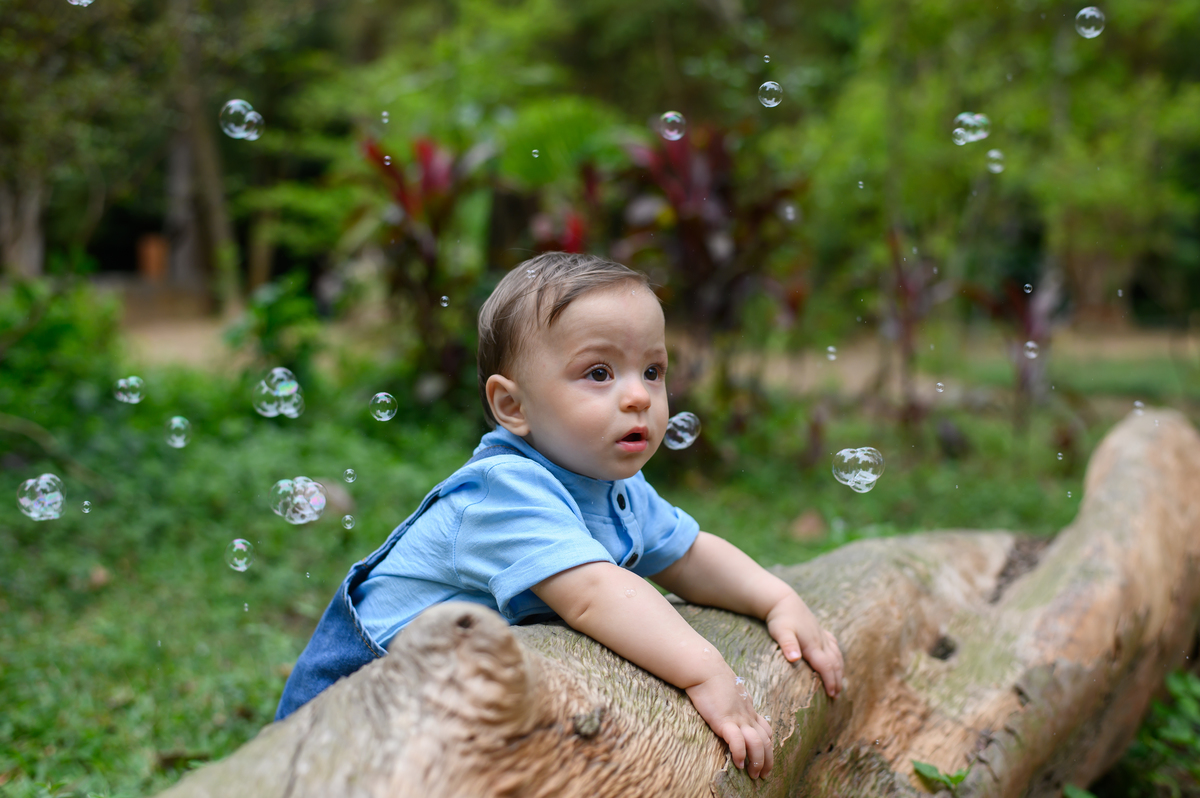 ensaio de 1 aninho parque burle marx sp
