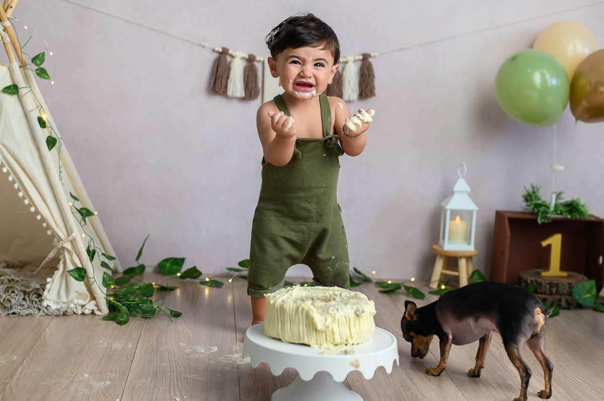 smash the cake 1 aninho estúdio sp zona sul