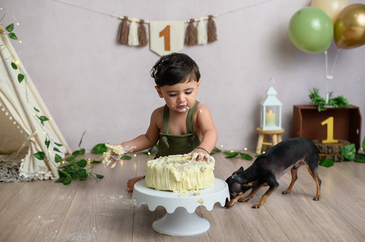ensaio smash the cake 1 ano com cachorro sp