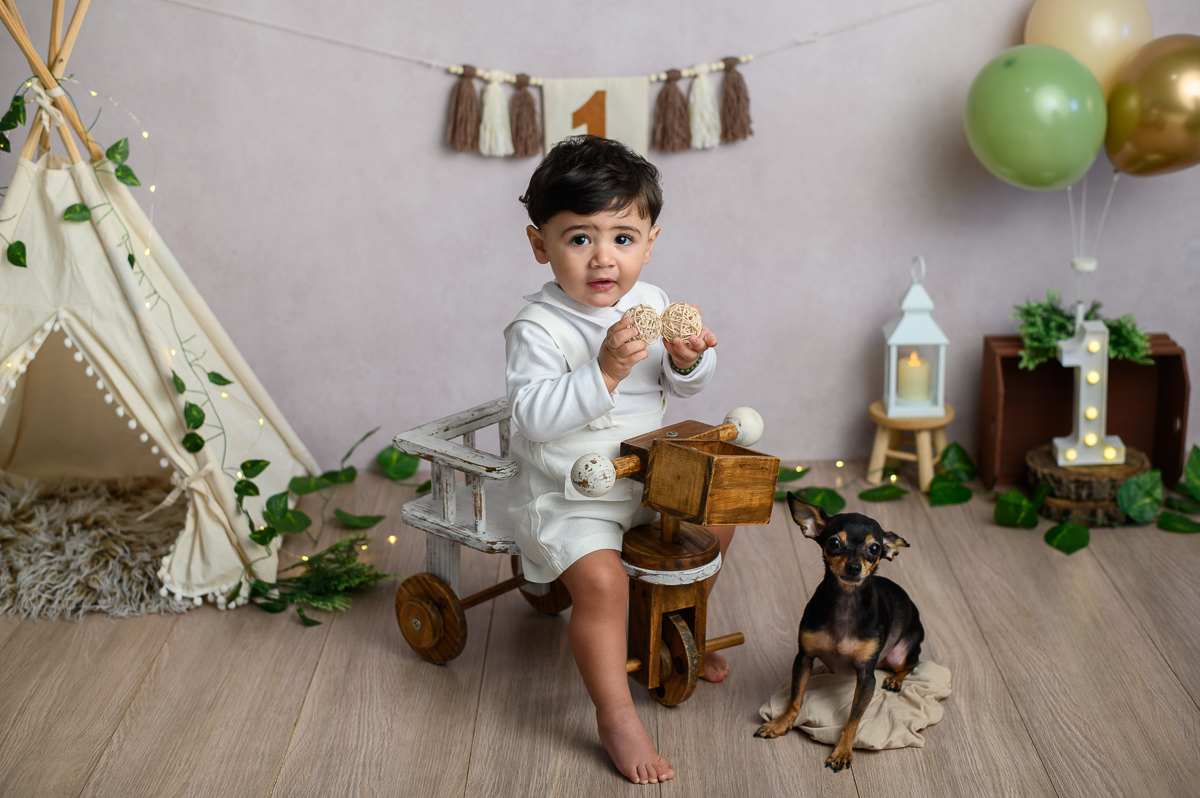 Smash the Cake Menino Estúdio com cachorro SP