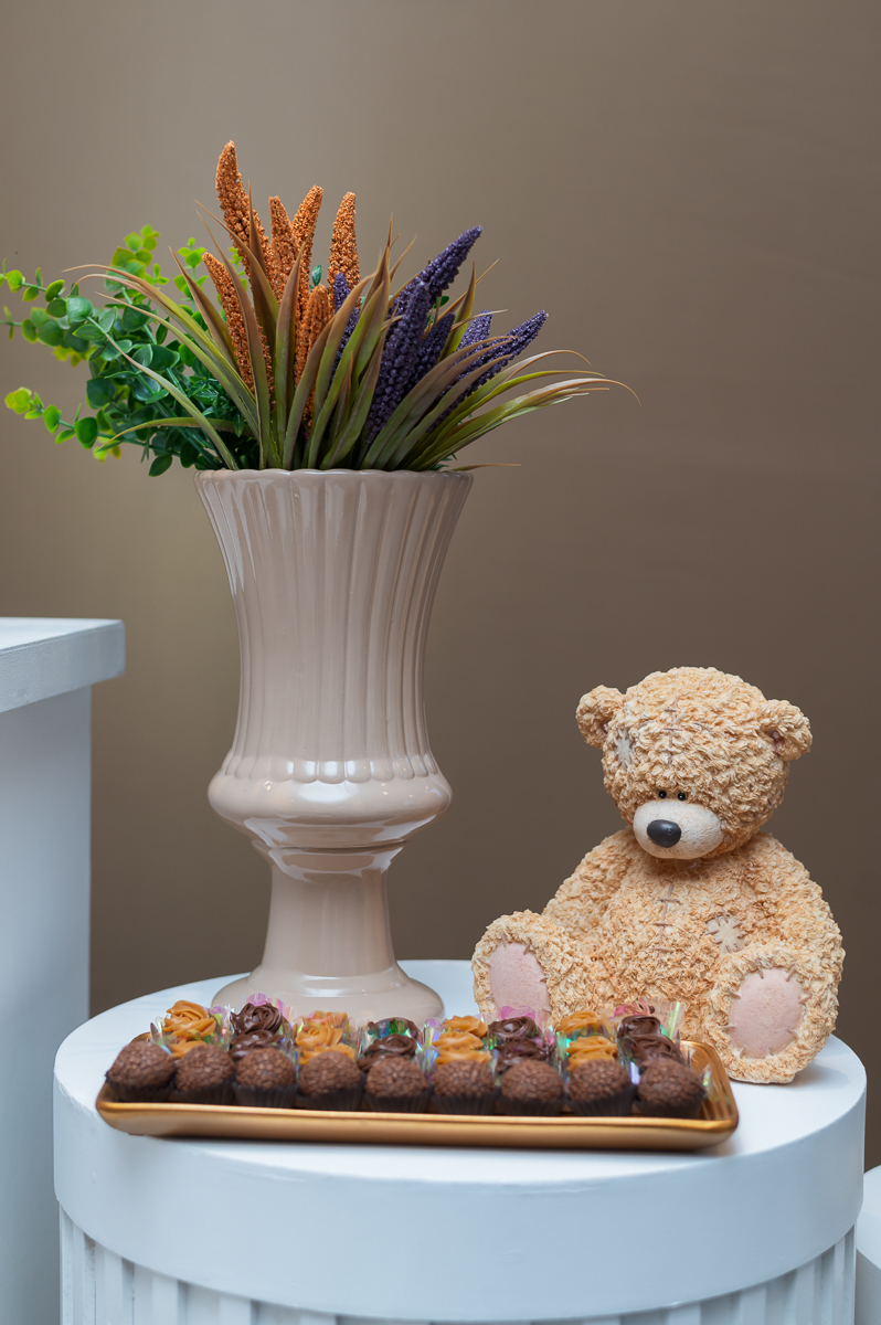 fotógrafa chá revelação sp