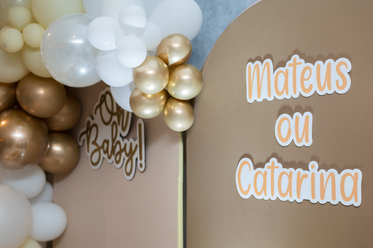 fotógrafa chá revelação sp zona sul