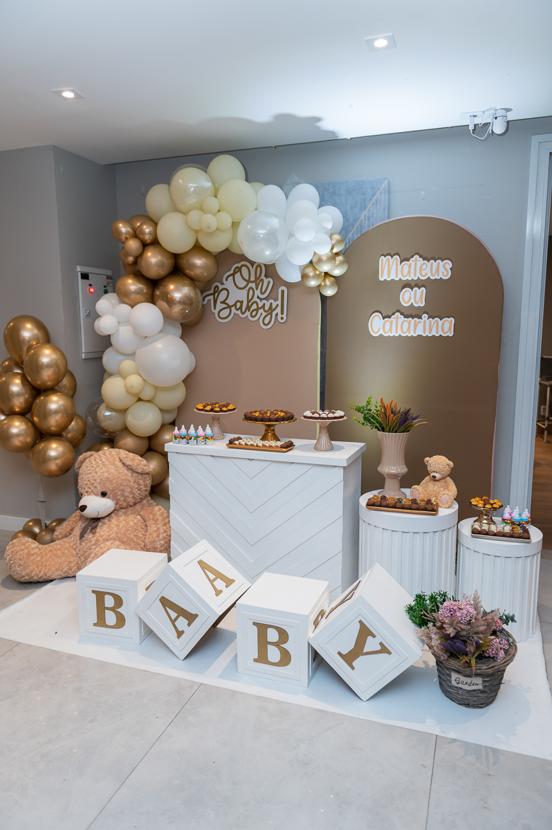 fotógrafa chá revelação sp zona sul