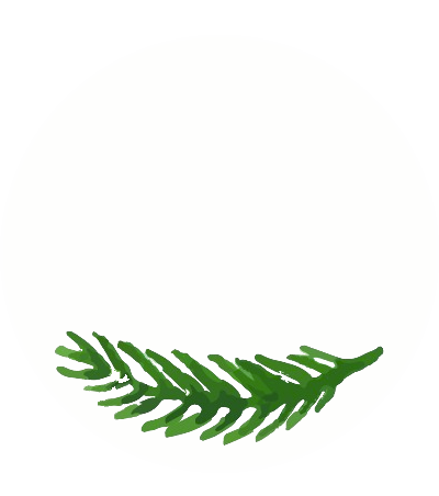 Logotipo de Bruna Weber