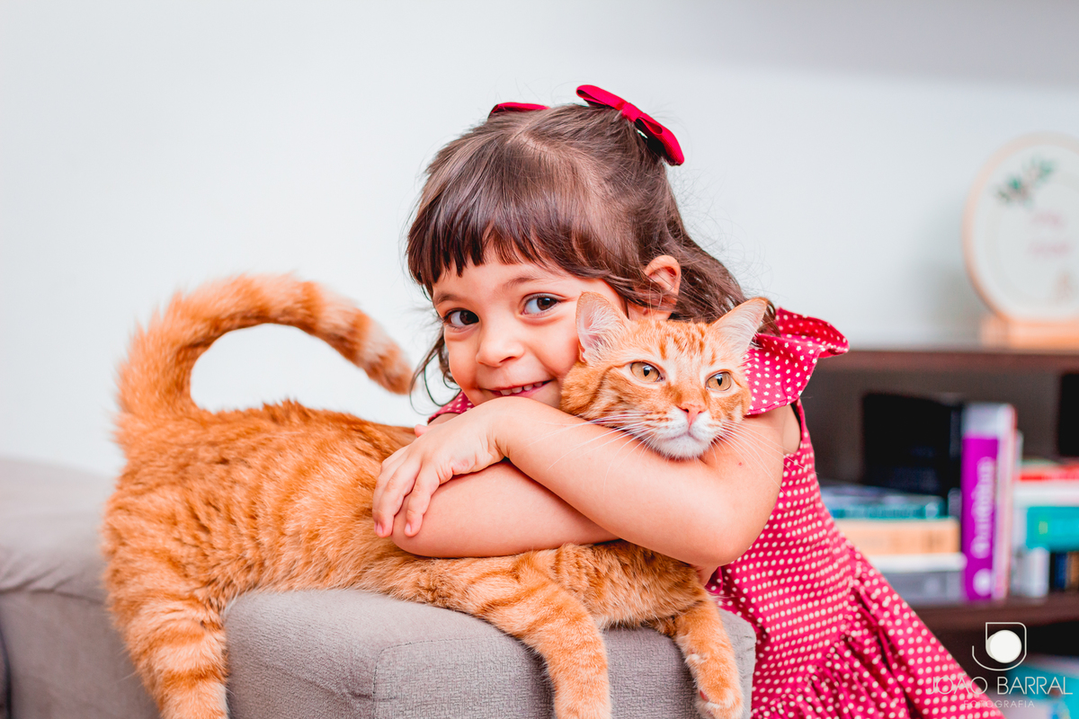 ensaio fotográfico e fotos de família em casa de natal com árvore de natal fotos de criança natal natalina